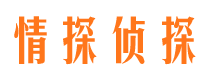 阜南市调查取证